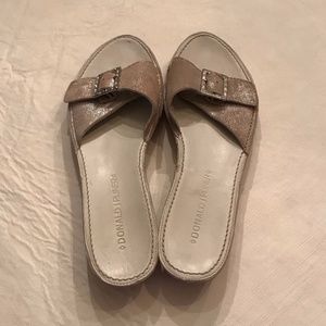 Donald J Pliner Silver Sandal with Buckle